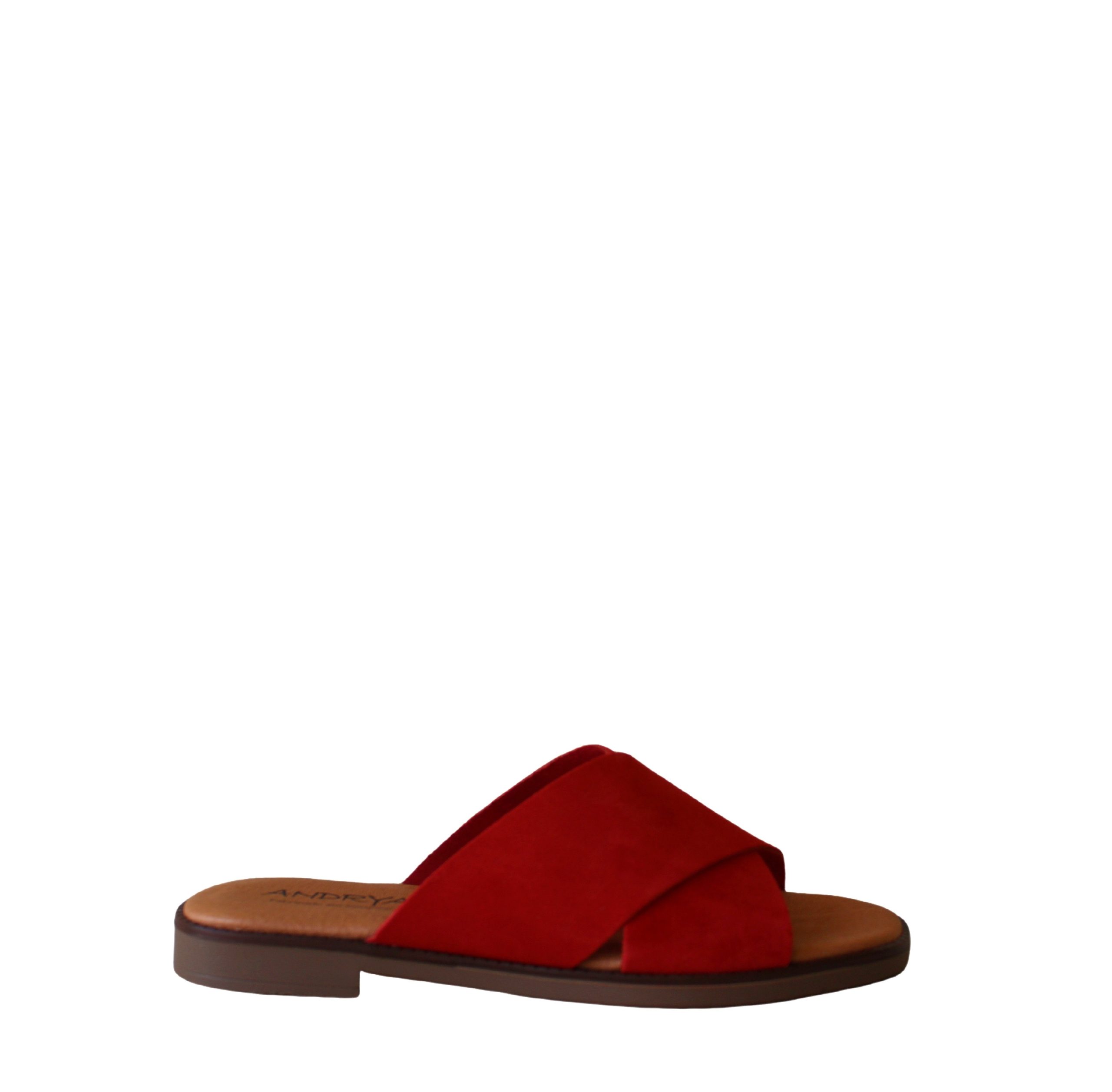 CHINELO ANDRYA EM camurça